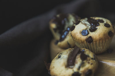 Homemade chocolate chips muffins pastry