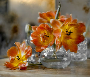 Close-up of orange flower vase on table