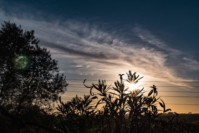 Scenic view of landscape against sky at sunset