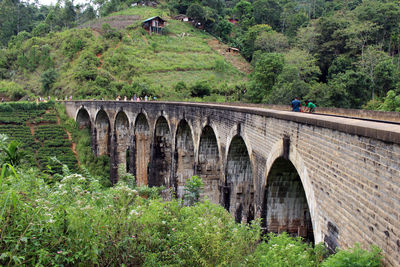 Arch bridge over trees on landscape