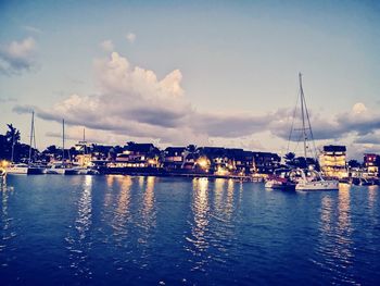 Sailboats moored in harbor