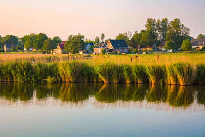 Scenic view of field by lake against sky