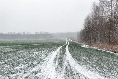 Panoramic shot of road amidst trees against clear sky