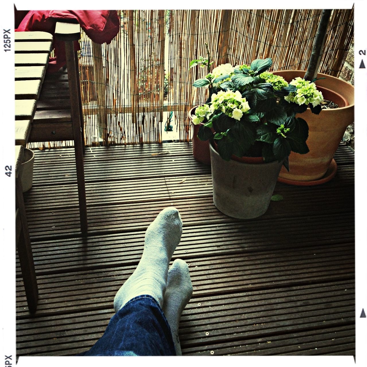 low section, person, personal perspective, shoe, human foot, potted plant, plant, wood - material, high angle view, standing, flower, footwear, leaf, part of, relaxation, chair