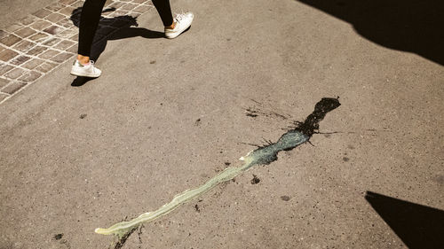 Low section of man walking on street