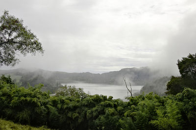 Scenic view of lake and trees against sky