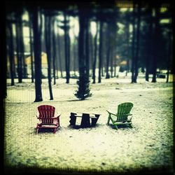 View of empty bench