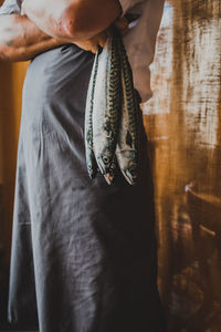 Midsection of chef holding mackerels