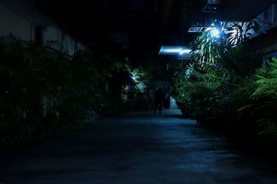 Blurred motion of people walking on road at night