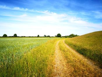 Scenic view of agricultural field against sky