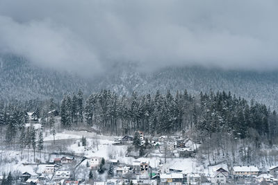 Aerial view of trees against sky during winter