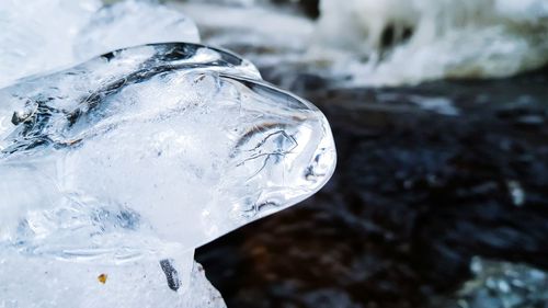 Close-up of ice crystals on rock