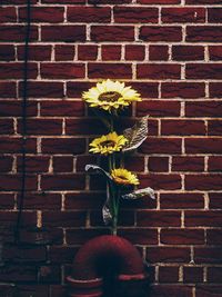 Close-up of flowers against brick wall