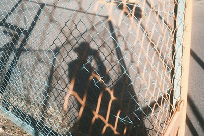 Close-up of chainlink fence in cage at zoo