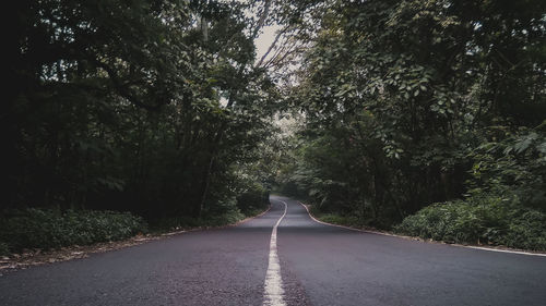 Empty road amidst trees in forest