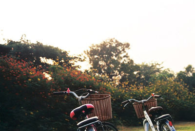 Bicycles parked in park