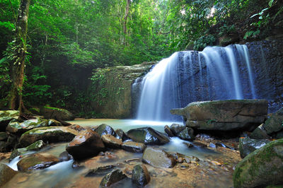 View of waterfall in forest