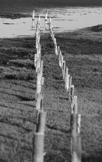 Surface level of wooden posts on beach