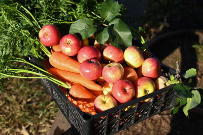 Close-up of apples