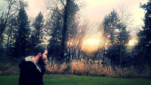 Sun shining through trees on landscape