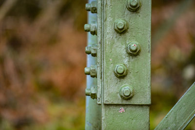 Close-up of rusty metal on wood