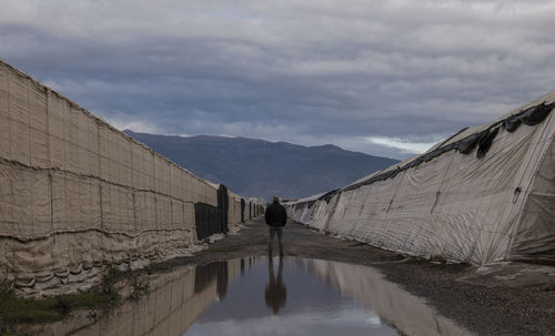 Rear view of adult man standing on country road with plastic greenhouses in almeria, spain