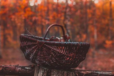 Close-up of autumn leaves in basket