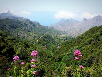 Scenic view of pink and mountains against sky