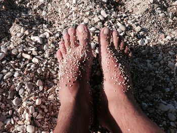 Low section of man on pebbles at beach