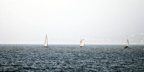 Sailboats sailing in sea against clear sky