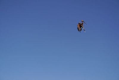 Low angle view of blue sky
