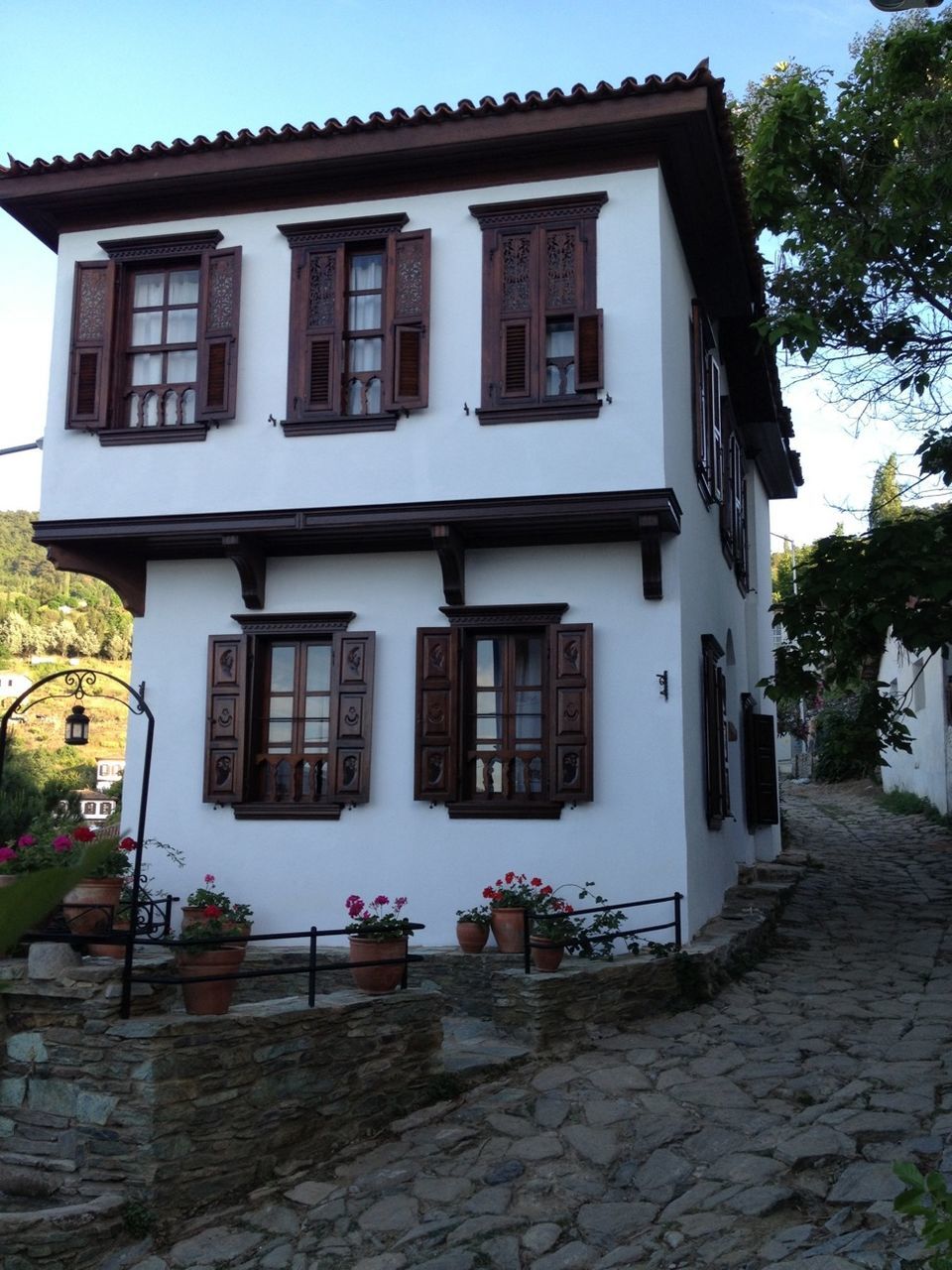 building exterior, architecture, built structure, window, residential building, house, residential structure, building, street, facade, cobblestone, day, outdoors, sunlight, tree, city, door, potted plant, no people, sidewalk