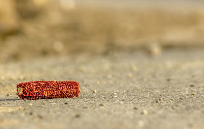 Close-up of red object