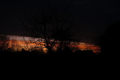 Silhouette of bare trees against sky at sunset