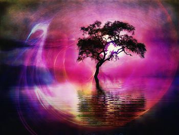 Tree by water against sky