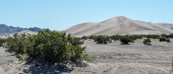 Scenic view of desert against clear sky