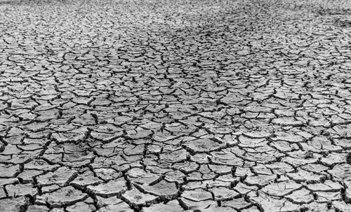 Mudflat cracked desert for natural background layer wallpaper of drought effects of global warming