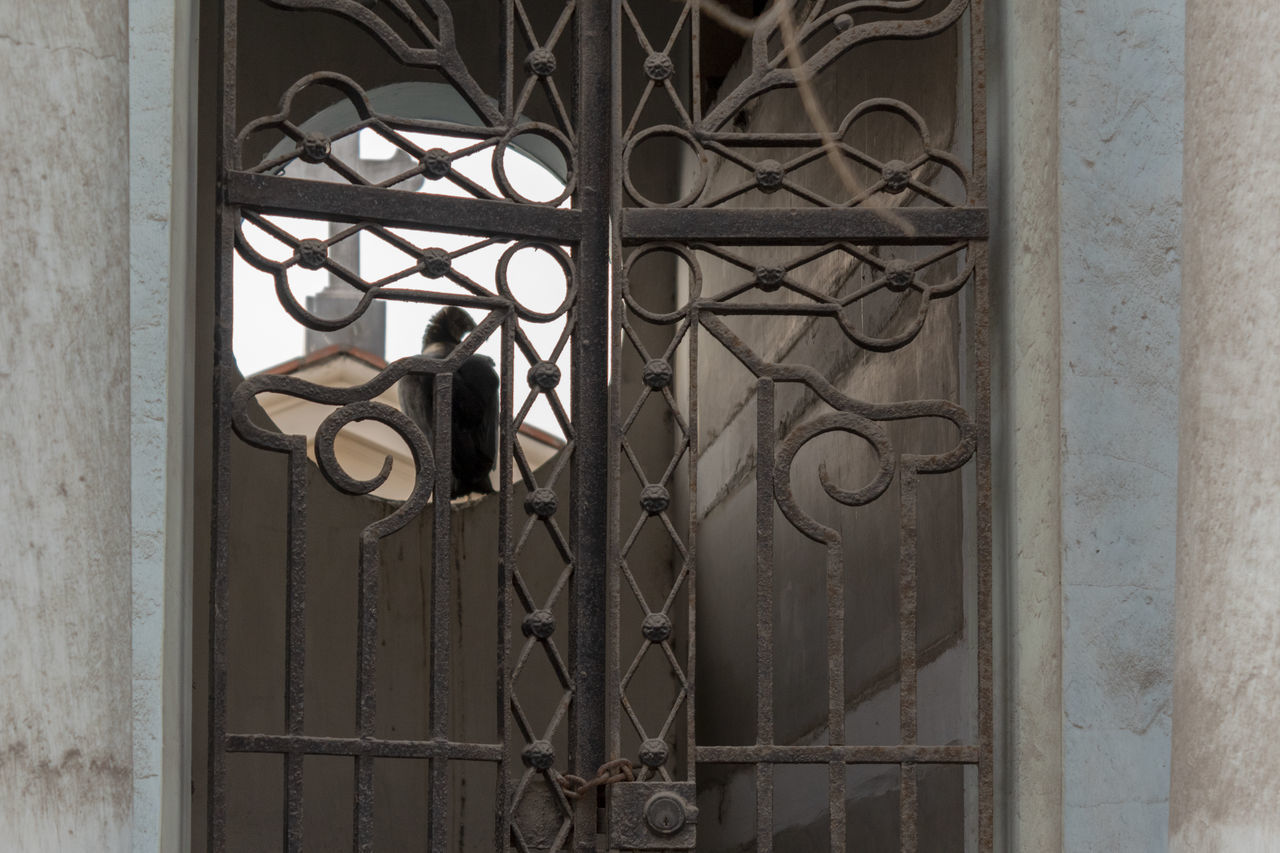 metal, no people, architecture, window, day, indoors, entrance, security, safety, door, built structure, protection, building, wall - building feature, grate, grid, old, gate, pattern, metal grate, iron - metal, wrought iron