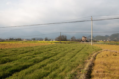 agriculture