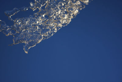 Low angle view of tree against blue sky