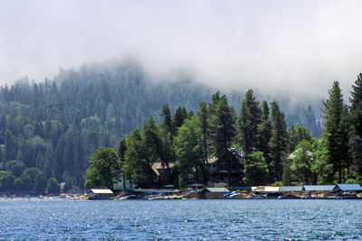 Scenic view of river amidst trees against sky