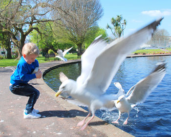 Side view of boy holding container by pond in park