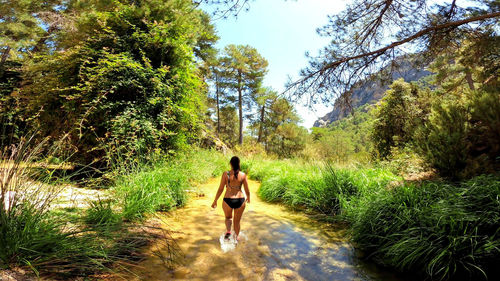 Rear view of woman walking on road amidst trees