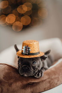 Close-up of hat