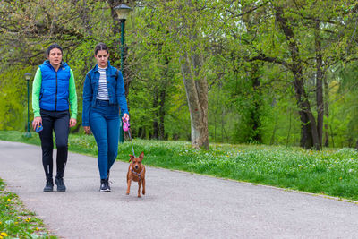 Mother and her teen girl walk with pinscher dog through the of relationship between human and animal