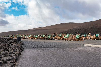 Group of people on road against mountain