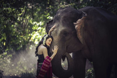 Low angle view of elephant against trees