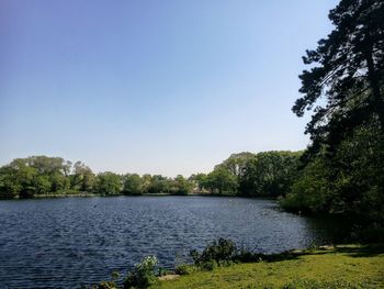 Scenic view of lake in forest against clear sky