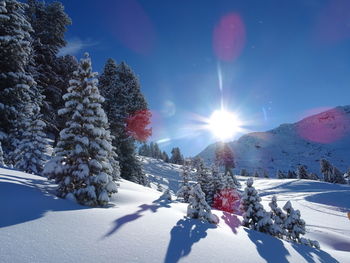 Snow covered trees against sky