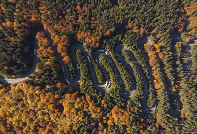 High angle view of road in autumn